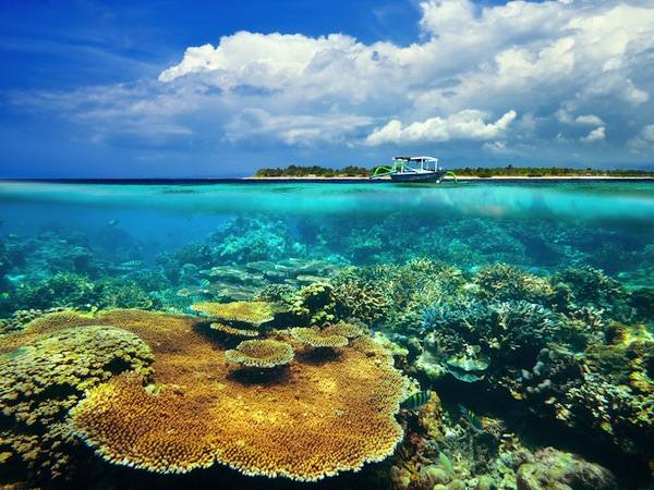 Pulau-Pulau Terbaik di Indonesia yang Wajib Dikunjungi pada Tahun 2025
